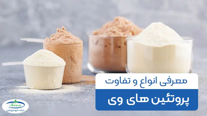 معرفی انواع پروتئین وی و تفاوت آن ها