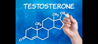 راهکارهای طبیعی برای افزایش سطح تستوسترون